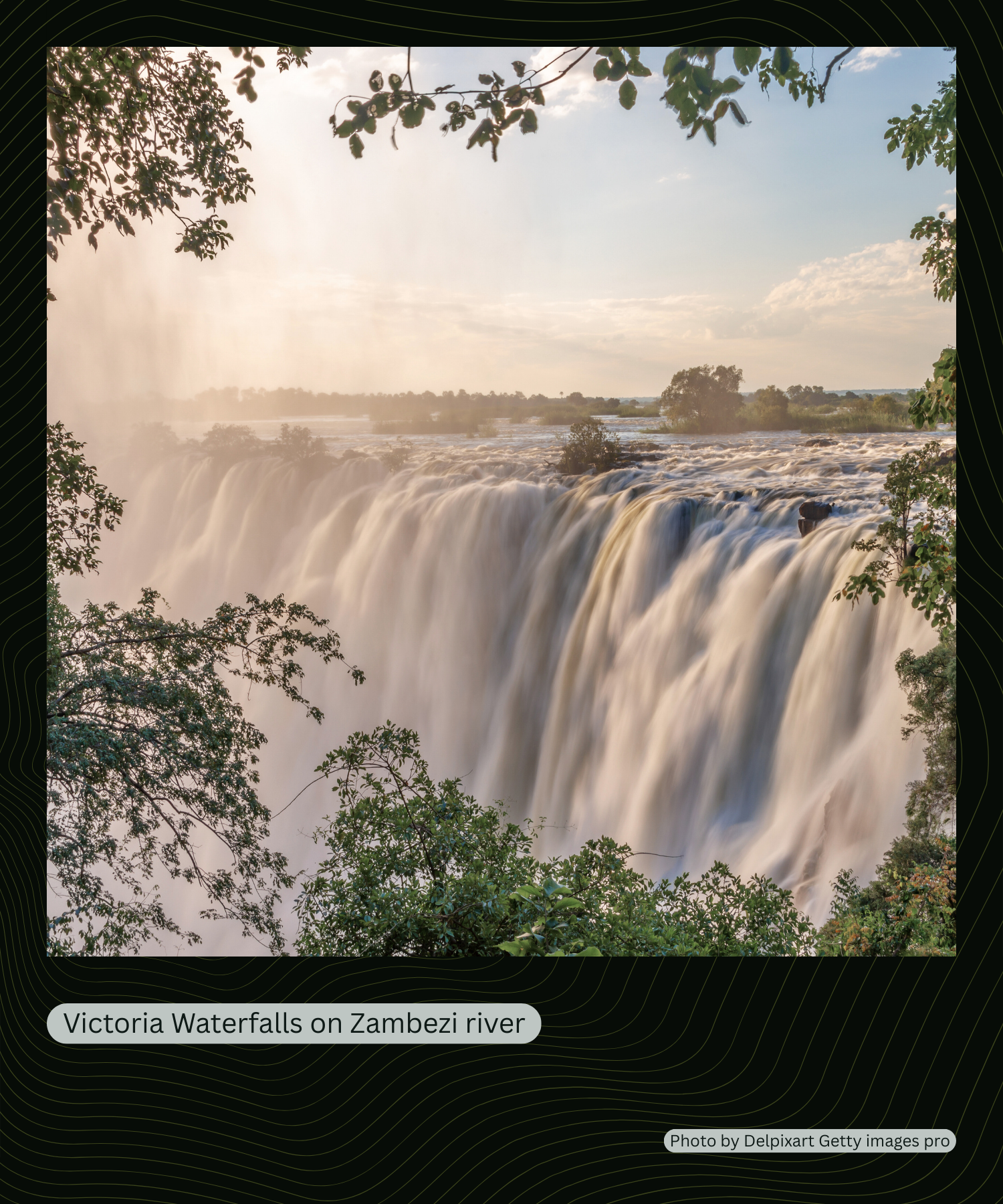 ShareWildlife Photo Frame